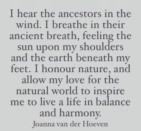 Ancestors Quotes, Spirit Guides Meditation, Universe Quotes Spirituality, Divine Feminine Spirituality, Wisdom Books, Word Up, Wonderful Words, Spiritual Healing, Life Inspiration