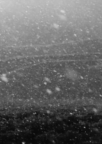 Snow Falling Gif, Falling Gif, Snow Gif, New Victorian, Snow Falling, Christmas Gif, Beautiful Gif, Snow Scenes, Nature Gif