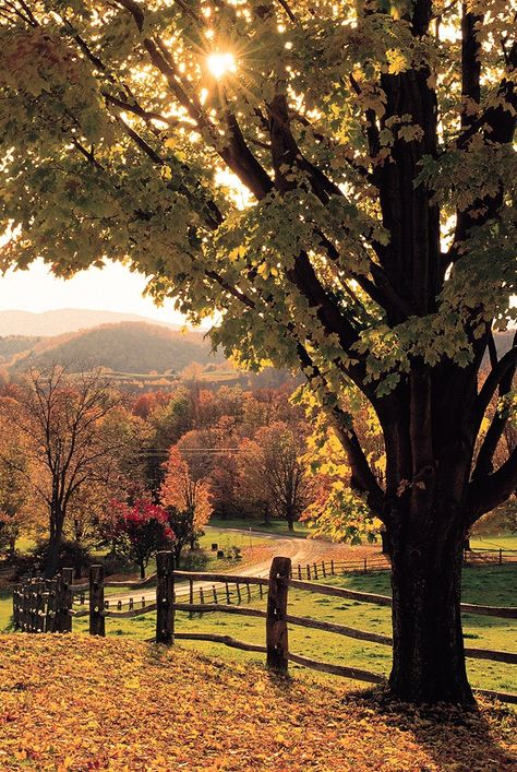 11 Great Day Trips From Providence, RI - New England Wanderlust Woodstock Vt, Fall Scenery, Woodstock Vermont, Vermont Fall, Girls Weekend Getaway, Fall Vacations, Fall Landscape, New England Fall, Autumn Scenes