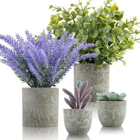 ALAGIRLS Small Fake Plants Set of 4 - Faux Lavender Flowers Artificial Eucalyptus Plants Mini Succulents for Home Decor Indoor, Potted Faux Plants for Desk Office Bathroom Shelf Decoration - Lavender Potted Lavender, Plants For Home Decor, Flowers Eucalyptus, Live House Plants, Artificial Plants Indoor, Faux Eucalyptus, Fake Plants Decor, Fake Succulents, Plants For Home