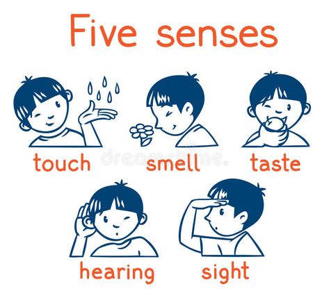 Five senses monochrome icon set. Icons of five senses - touch, taste, hearing, sight, smell. Children illustration of boy in red t-shirt stock illustration T Shirt Illustration, Human Sketch, Five Senses, Unusual Words, Art Drawings Sketches Creative, Red T Shirt, Editorial Illustration, Children Illustration, Art Drawings Sketches