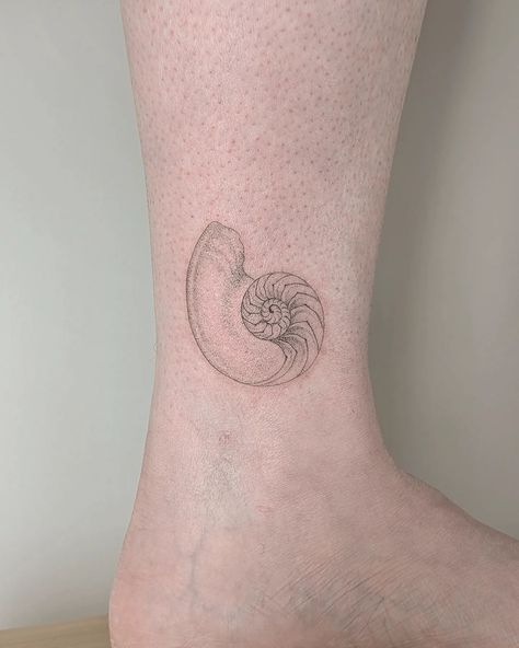 A handpoked Nautilus cross-section on my pal Donna to finish the week. Thank you gorgeous lady! 🐚 Shells are absolutely one of my favourite things to tattoo. Nautilus Shell Tattoo, Things To Tattoo, Nautilus Tattoo, Shell Tattoo, Shell Tattoos, Gorgeous Lady, Nautilus Shell, My Favourite Things, Nautilus