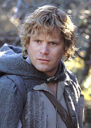 Sean Astin, Samwise Gamgee, Concerning Hobbits, The Hobbit Movies, Frodo Baggins, The Two Towers, Fellowship Of The Ring, Famous Stars, Jrr Tolkien