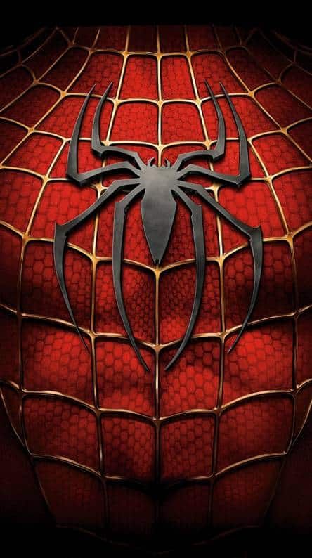 Spider Man Wallpaper For Free Download #spiderman #spidermanwallpaper #spidermanimages #spidermanpic Kapten Marvel, Spiderman Canvas, Spiderman 2002, Spiderman Images, All Spiderman, Spiderman 3, Spiderman Spider, Marvel Spiderman Art, Spider Man 2