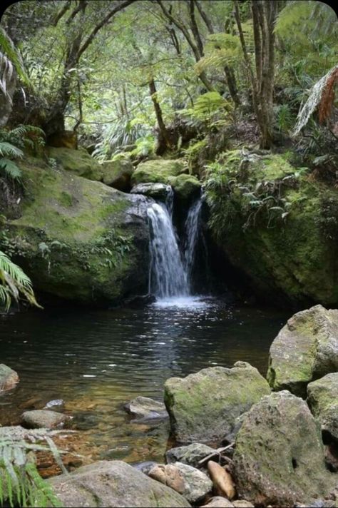 Environment Collage, Aquascape Design, Natural Waterfalls, Garden Pond Design, Waterfall Pictures, Tropical Painting, Bg Design, Backyard Water Feature, Nature Music