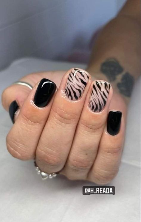 Zebra Nail Designs Animal Prints, Nail Zebra Designs, Zebra Nail Designs, Nail Dipping Powder Colors, Zebra Print Nails, Black Gel Nails, Hard Gel Nails, Zebra Nails, Cheetah Nails