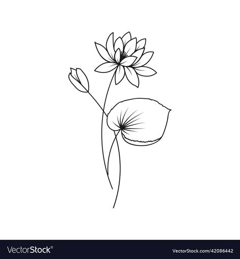 July Birth Flower Tattoo Simple, Simple Water Lily Drawing, Water Lily Birth Flower Tattoo, Water Lily Line Tattoo, Water Lily Line Art, July Birth Month Flower Tattoo, July Birth Tattoo, July Water Lily Tattoo, July Birth Flower Tattoo Water Lilies