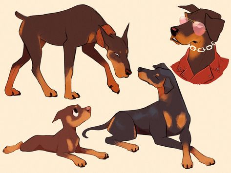 Doberman Drawing, Dog Design Art, Dog Animation, Cat Hacks, Canine Art, Laugh Out Loud, Mythical Creatures Art, Cat Owner, Animals Artwork