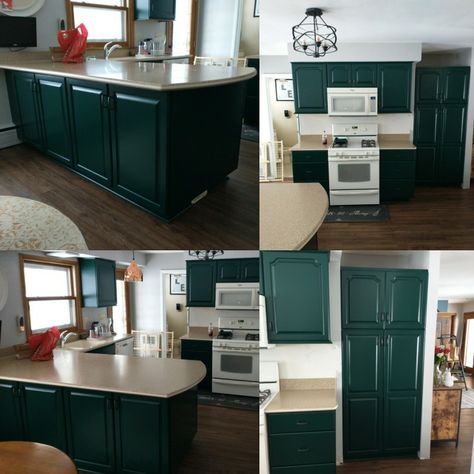 Color is called English Ivy from Sherwin Williams English Ivy Paint Color, English Ivy Sherwin Williams, Sherwin Williams English Ivy, Sherwin Williams Green, Powder Room Makeover, Painted Cabinets, English Ivy, Cabinet Color, Hall Bathroom