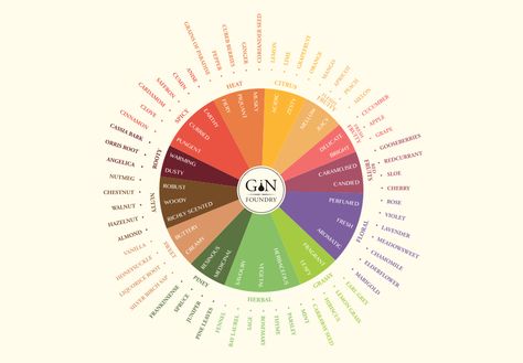 Gin Tasting Wheel – Gin Foundry's Shop Homemade Gin, Gin Making, Gin Botanicals, How To Make Gin, Seductive Perfume, Cassia Cinnamon, Gin Recipes, Gin Tasting, Gin Drinks