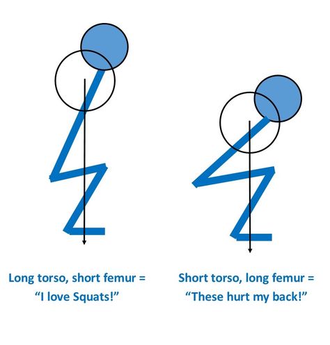 Squats are the king of all exercises! Right? Well, it depends. For some people squats are almost miracle-like in their ability to build ins... Short Torso Long Legs Outfits, Torso Workout, Long Torso Short Legs Outfits, Short Legs Outfit, Short Legs Long Torso, Build Ins, Swimming Outfits, Leg Workout At Home, Legs Outfit