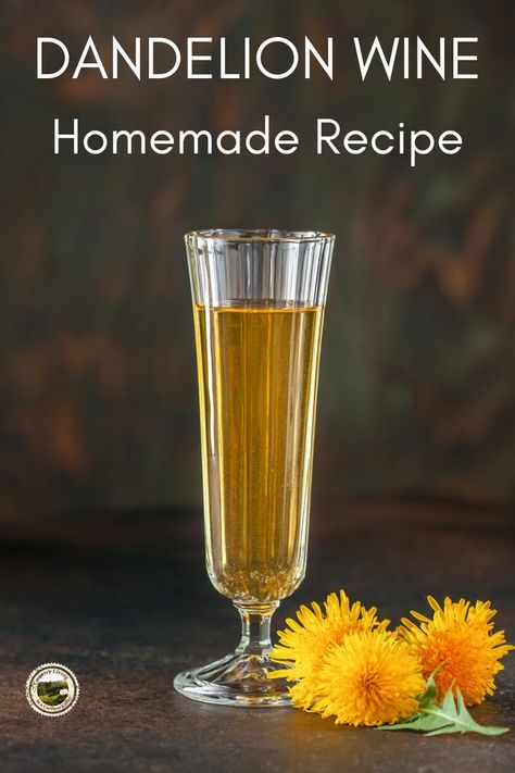 Dandelion Wine Recipe, Homemade Wine Recipes, Dandelion And Burdock, Dandelion Benefits, Food Foraging, Dandelion Wine, Wild Food Foraging, Dandelion Flowers, Make Your Own Wine