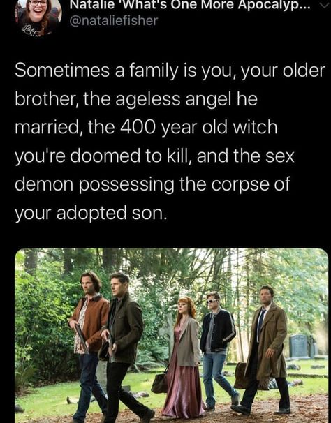 Funny Fandom, Supernatural Jokes, Spn Memes, Supernatural Pictures, Supernatural Tv Show, Supernatural Destiel, Nerd Humor, Supernatural Memes, Free Will