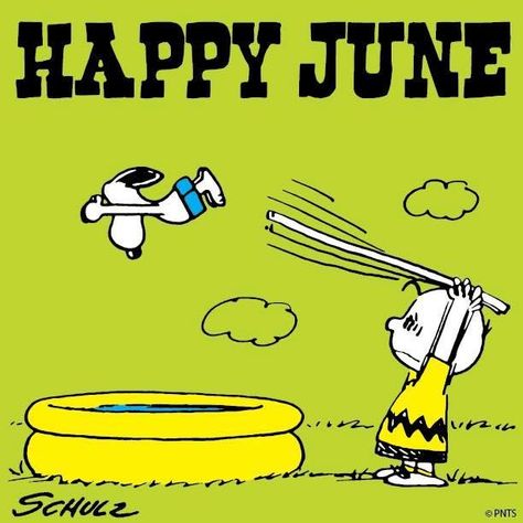 Happy June may months june hello june june quotes happy june hello june quote june quote happy june quotes Welcome June, Happy June, Hello June, Snoopy Images, Peanuts Cartoon, Snoopy Quotes, Snoopy Pictures, Joe Cool, Dog Clothes Patterns