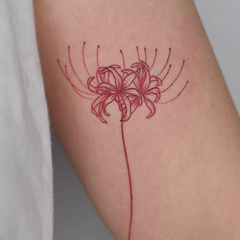 Tokyo Ghoul inspired red spider lily tattoo on the Spider Lily Tattoo Meaning, Japanese Spider Lily Tattoo, Japanese Spider Lily, Lilly Tattoo Design, Lily Tattoo Meaning, Spider Lily Tattoo, Dragon Tattoo Stencil, Lillies Tattoo, Lily Tattoo Design