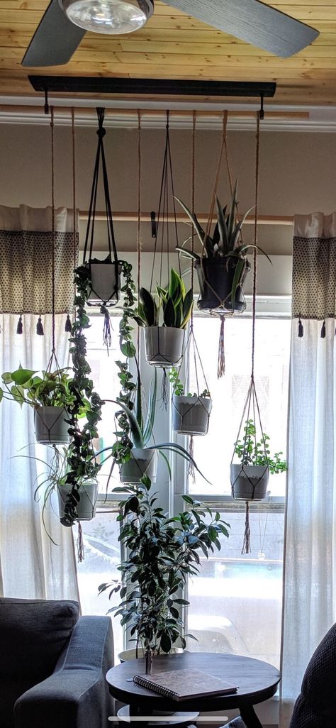 Hanging Plants High Ceiling, Ceiling Plant Hanger Corner, Latter Plant Hanger From Ceiling, Hanging Plants Shower Ceiling, Ceiling Hooks For Plants, Ceiling Plant Hanger Horizontal, Hanging Plant Hooks, Hang Plants, Plant Hooks