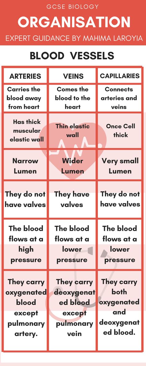 Organisation AQA GCSE Biology Paper - 1 Complete Revision Summary Covering the topics of  Organisation hierarchy  Human Digestive System  Circulatory System  Heart and the blood vessels  Blood  Coronary Heart Disease  Non Communicable Disease  Respiratory System  Plant Tissues  Plant Organ System  Transpiration Human Circulatory System, Gcse Biology, Non Communicable Disease, Medical Assistant Student, Learn Biology, Human Digestive System, Study Biology, Nursing School Motivation, Basic Anatomy And Physiology