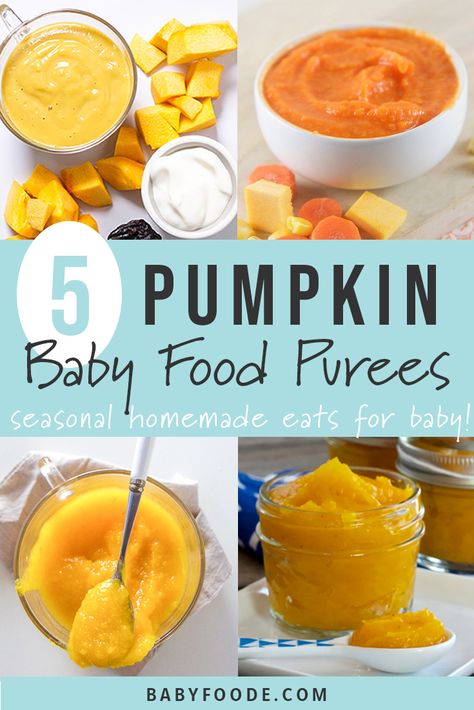 These 5 Pumpkin Baby Food Purees are a fun and healthy way for baby to enjoy the flavors of the fall season! Each of these purees are easy to make, healthy, and totally tasty! Bring baby a taste of fall with these healthy homemade pumpkin purees. #healthy #baby #babyfood #stageone #6months #babyfoodrecipes #healthykids Puree Ideas, Pumpkin Baby Food, Baby Food Recipes Stage 1, Apple Baby Food, Purple Carrots, Chicken Baby Food, Easy Homemade Baby Food, Baby Food Puree, Pumpkin Puree Recipes