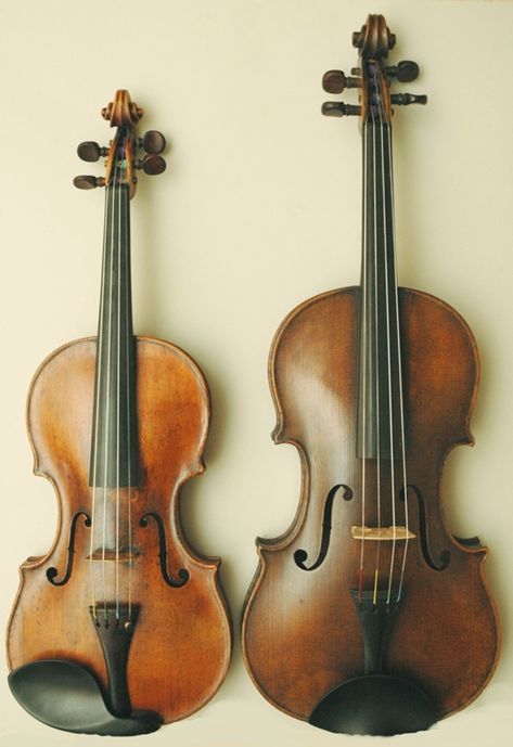 10 worst things about viola Pink Violin, Violin Family, Viola Instrument, Violin Instrument, Learn Violin, The Infernal Devices, Music Aesthetic, String Instruments, Sound Of Music