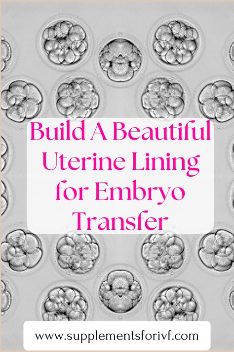 Are you doing an IVF transfer? Advice on how to build your best uterine lining to prepare for embryo transfer! Failed Embryo Transfer, Uterine Lining Thickening, Ivf Transfer Diet, Embryo Transfer Diet, Fertility Massage Self, Fet Transfer, Arginine Benefits, Fertility Massage, Ivf Preparation