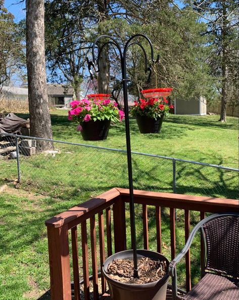 Create a hummingbird feeding station with a large flower pot and 4 shepherd hooks ziplined together for your back deck or patio. Shepherd Hook Ideas, Hook Ideas, Large Flower Pots, Shepherds Hook, Deck Or Patio, Feeding Station, Humming Bird Feeders, S Hook, Outside Decor