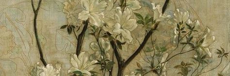 Apple Blossoms, White Flowers, Still Life, Flowers, Wall, Green, White