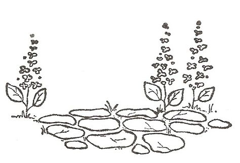 Path Drawing Ideas, Stone Path Drawing, Path Drawing, Garden Drawing, Magnolia Stamps, Stone Pathway, Flower Art Drawing, Stone Path, Bullet Journal Design Ideas