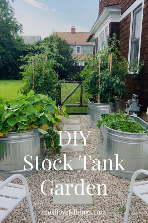 Growing Herbs in a Stock Tank Garden that's in full sun has so many advantages. It's easy to care for them and harvest them and since stock tanks are 2' high, the bunnies can't get to them. Stock Tank Garden Raised Beds, Stock Tank Garden, Stock Tank Gardening, Galvanized Containers, Galvanized Stock Tank, Diy Stock Tank, Garden Bed Layout, Raised Flower Beds, Tiered Garden