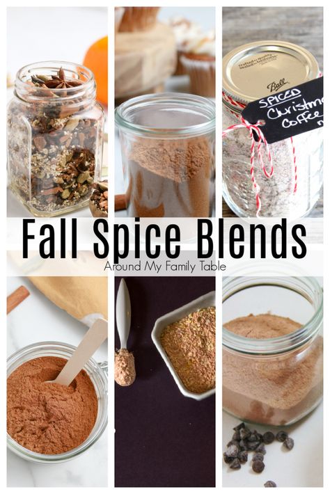 Dessert Spice Blends, Fall Spice Blend, Fall Spice Recipes, Baking Spice Blends, Mulled Spices Recipe, Pumpkin Spice Hot Cocoa Mix Recipe, Coffee Spice Blend, Mulling Spice Recipe, Spiced Cider Mix