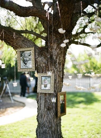 Family Tree Idea Memory Tree, Memorial Garden, Photo Tree, Picture Hanging, Memorial Service, Hanging Pictures, Anniversary Parties, Wedding Bells, Country Wedding