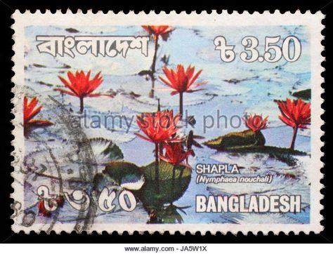 Bangladesh Postage Stamp Stock Photos & Bangladesh Postage Stamp ... Bengali Art, Old Stamps, Image Vector, Post Stamp, Flower Stamp, Postal Stamps, Stamp Design, Postage Stamp, Coin Collecting