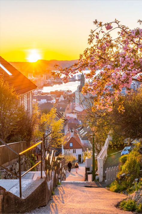 Sunset at Skivebakken in Bergen with a blooming cherry tree Fjord Norway, Small Town Living, Cobblestone Streets, Scandinavia Travel, New Fantasy, Nordic Countries, Countries Around The World, The Capital, Plan Your Trip