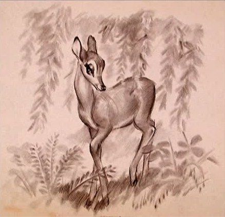 Animation Tips, Deer Drawing, Anime Drawing Sketches, Bambi Disney, Artist Work, Artwork Inspiration, Animal Anatomy, College Aesthetic, Kimono Vintage