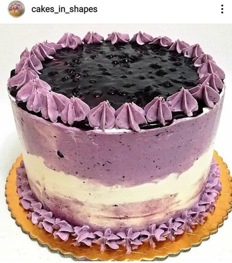 Simple Blueberry Cake Designs, Blueberry Birthday Cake Design, Blueberry Cake Design, Blueberry Cake Decoration, Fresh Fruit Cake, Recipes Cupcakes, Instagram Profile Pic, Poo Poo, Pee Pee