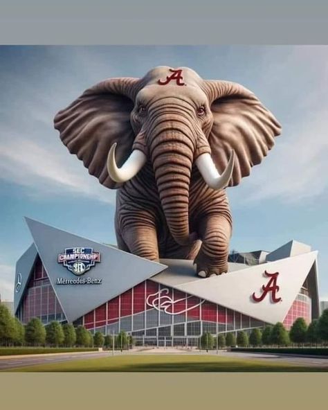 Alabama Crimson Tide Fans! | We got our house back roll tide | Facebook Roll Tide Funny, Roll Tide Quotes, Alabama Vs Auburn, Alabama Crimson Tide Football Wallpaper, Alabama Wallpaper, Alabama Crimson Tide Logo, Alabama Football Roll Tide, Crimson Tide Fans, Bama Girl