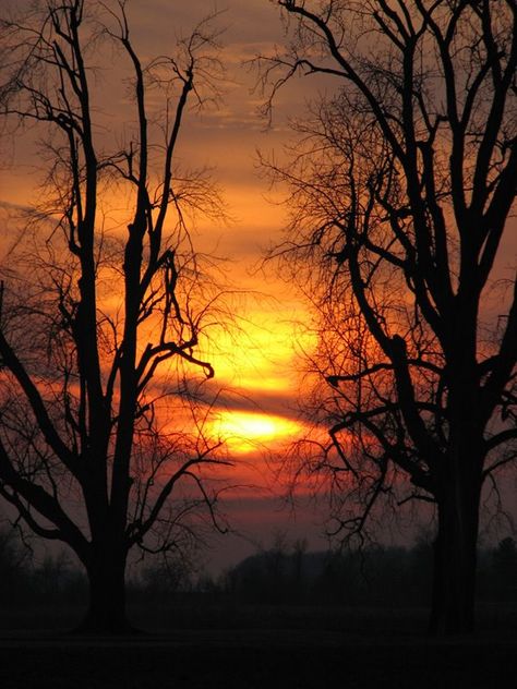 Spooky Indiana Sunset #travel #sunset #indiana #halloween Zionsville Indiana, Indiana Girl, God Is Real, My Pet, New Earth, Random Thoughts, God Art, Sunset Pictures, To Heaven