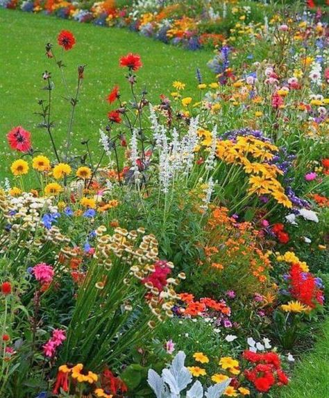 Wildflower Flower Bed Front Yards, Wildflower Landscape, Spring Garden Flowers, Flower Garden Design, Pot Ideas, Garden Types, Wildflower Garden, Unusual Flowers, Front Yard Garden