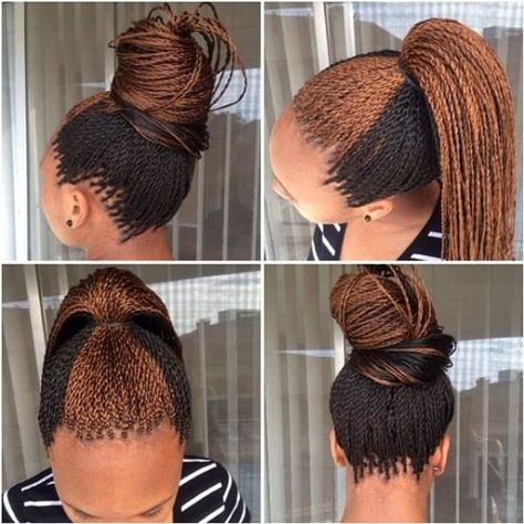 Micro Braids Styles, Senegalese Braids, Micro Braids Hairstyles, Senegalese Twist Hairstyles, Cornrows Styles, Braided Hair Styles, Senegalese Twists, African Hair Braiding, African Hair Braiding Styles