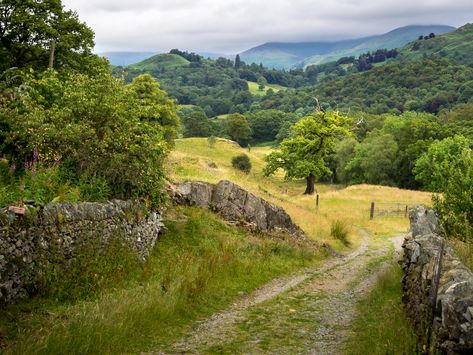 Cumbria England, English Garden Design, Dreamy Places, Hobbit House, British Countryside, Country Scenes, Dirt Road, English Countryside, Cumbria