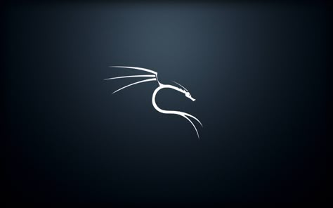 Kali Linux Wallpapers, Painting Door Frames, Linux Wallpapers, Red Logo Design, Linux Laptop, Netflix Hacks, Learn Computer Coding, Hacker Wallpaper, Circle Logo Design