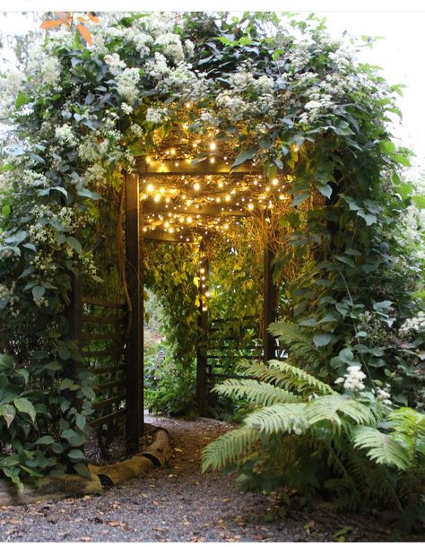 Secret Woodland Garden, Spiritual Garden Ideas Backyards, Garden Archway Ideas, Forest Garden Ideas, Tiny Living Ideas, Backyard Forest, Porch Update, Cottage Forest, Front Yard Gardens