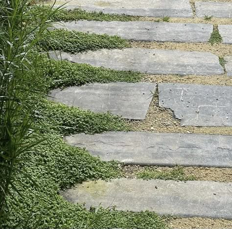 Townhouse Courtyard, Grass Paving, Flagstone Paving, Driveway Entrance Landscaping, Flagstone Pathway, Granite Paving, Limestone Paving, Walkways Paths, Garden Floor