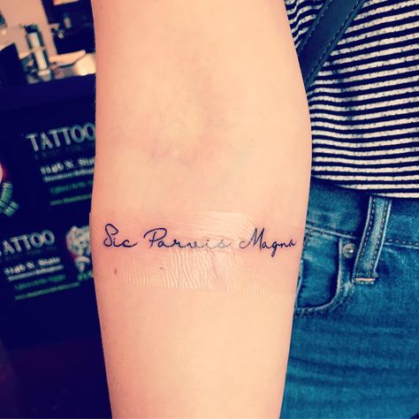 Sic Parvis Magna - greatness from small beginnings Tiny Tats, Funky Tattoos, Uncharted, Forearm Tattoo, Piercing Tattoo, Tattoo Inspo, Tattoo Styles, Tattoos And Piercings, Tattoo Quotes