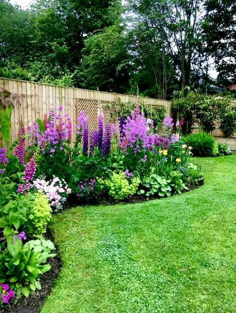 Low Maintenance Flower Bed Ideas, Low Maintenance Flower Bed, Front Gardens, Flower Bed Ideas, Front Yard Garden Design, Have Inspiration, Garden Yard Ideas, Backyard Garden Design, Front Yard Garden