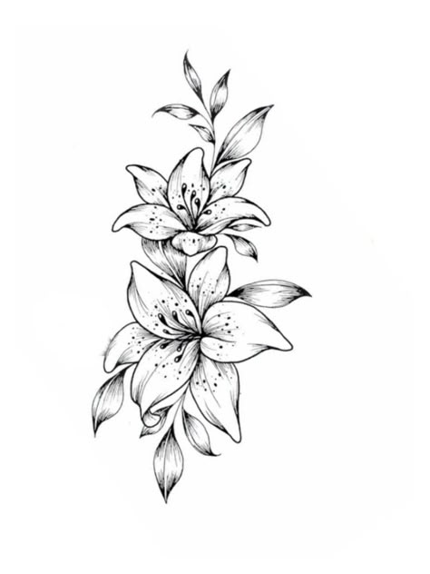 Lillie Tattoo Design, Surprise Lily Tattoo, Lillie Tattoos For Women, Orchid And Lily Tattoo, Tiger Lillie Tattoo, Name Tattoo Cover Up Ideas For Women, Lily Tattoo Design Simple, Lignum Vitae Tattoo, Lily Tattoo Watercolor