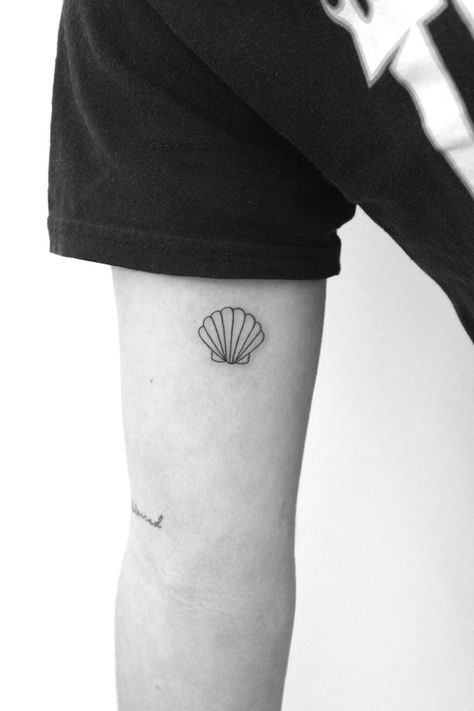 130 Shell Tattoos Make You Wonder Sea Life | Art and Design Seashell Line Tattoo, One Line Shell Tattoo, Summer Tattoos For Women, Fine Line Shell Tattoo, Simple Seashell Tattoo, 5 Inch Tattoo, Tattoo Seashell, Tattoo Shell, Inch Tattoo