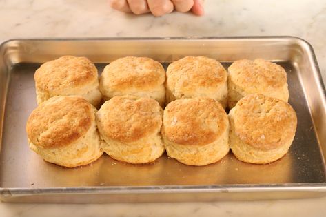 Homemade Southern Biscuits Recipe | Alton Brown Homemade Southern Biscuits, Homemade Biscuit Recipe, Southern Biscuits Recipe, Homemade Biscuit, Southern Buttermilk Biscuits, Homemade Biscuits Recipe, Famous Chef, Southern Biscuits, Buttermilk Biscuits Recipe