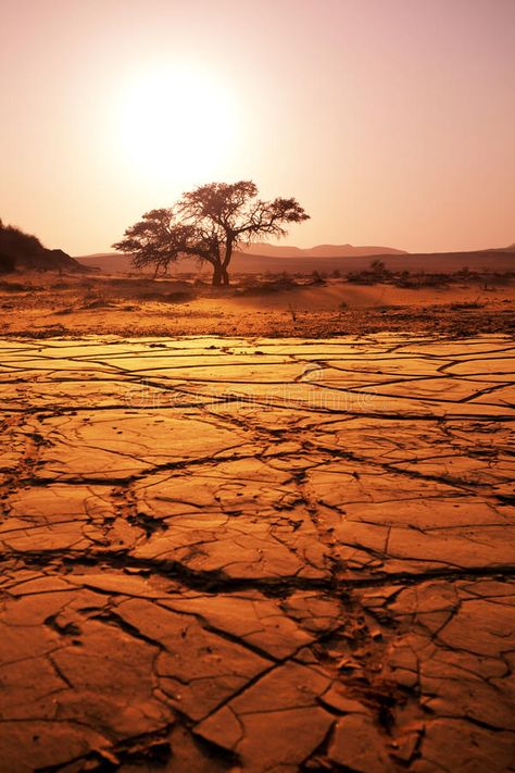 Drought Aesthetic, River In Desert, Drought Landscape, Desert Texture, Namibian Desert, Desert Images, Africa Desert, Namibia Desert, Desert Wanderer