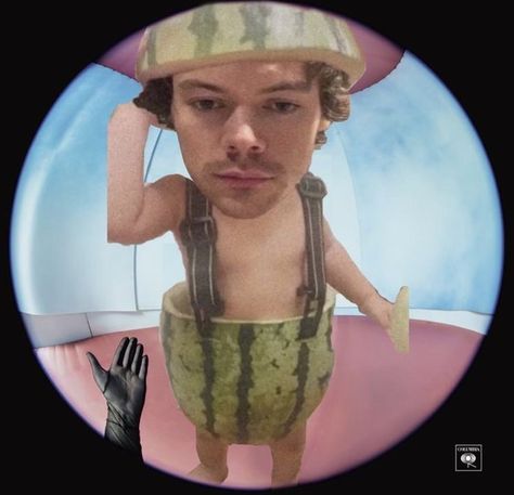 Harry Styles Watermelon, Harry Styles Watermelon Sugar, Watermelon Sugar, Harry Styles, Watermelon