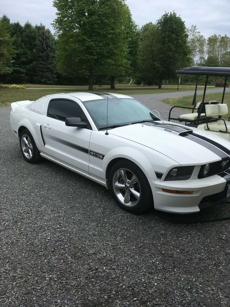 Ford: Mustang Gt/cs 2008 Ford Mustang Gt California Special Price : CAD 24,000 Category : Mustang Condition : Certified Pre-o... Location: K0G1L0, Canada Visit listing » 2007 Mustang, 2008 Ford Mustang, Ford Mustang For Sale, Ford Mustang Gt, Mustang Gt, Ford Mustang, Mustang, Dream Cars, California